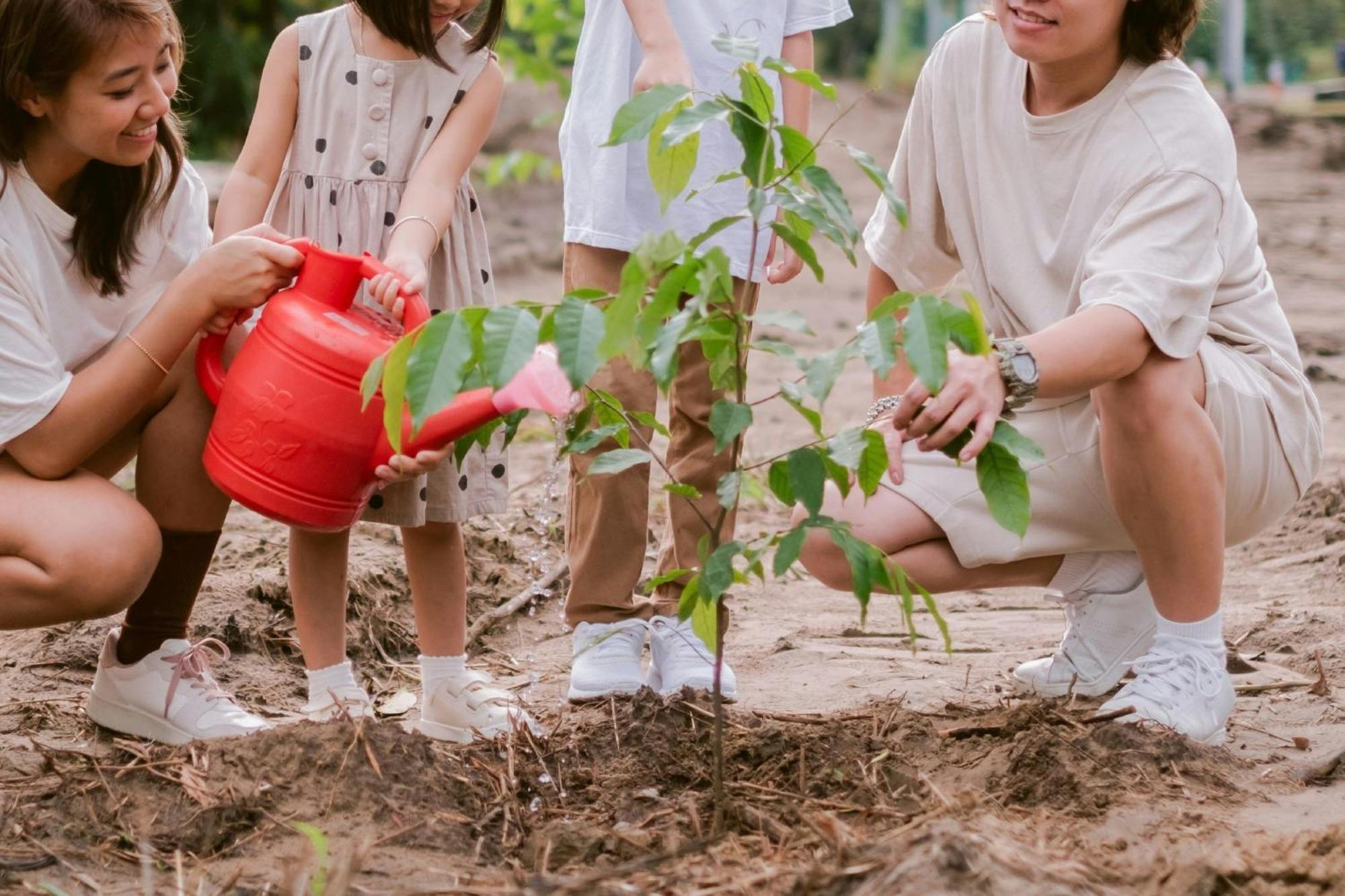 Miri Marriott Resort & Spa Exterior foto Children planting trees